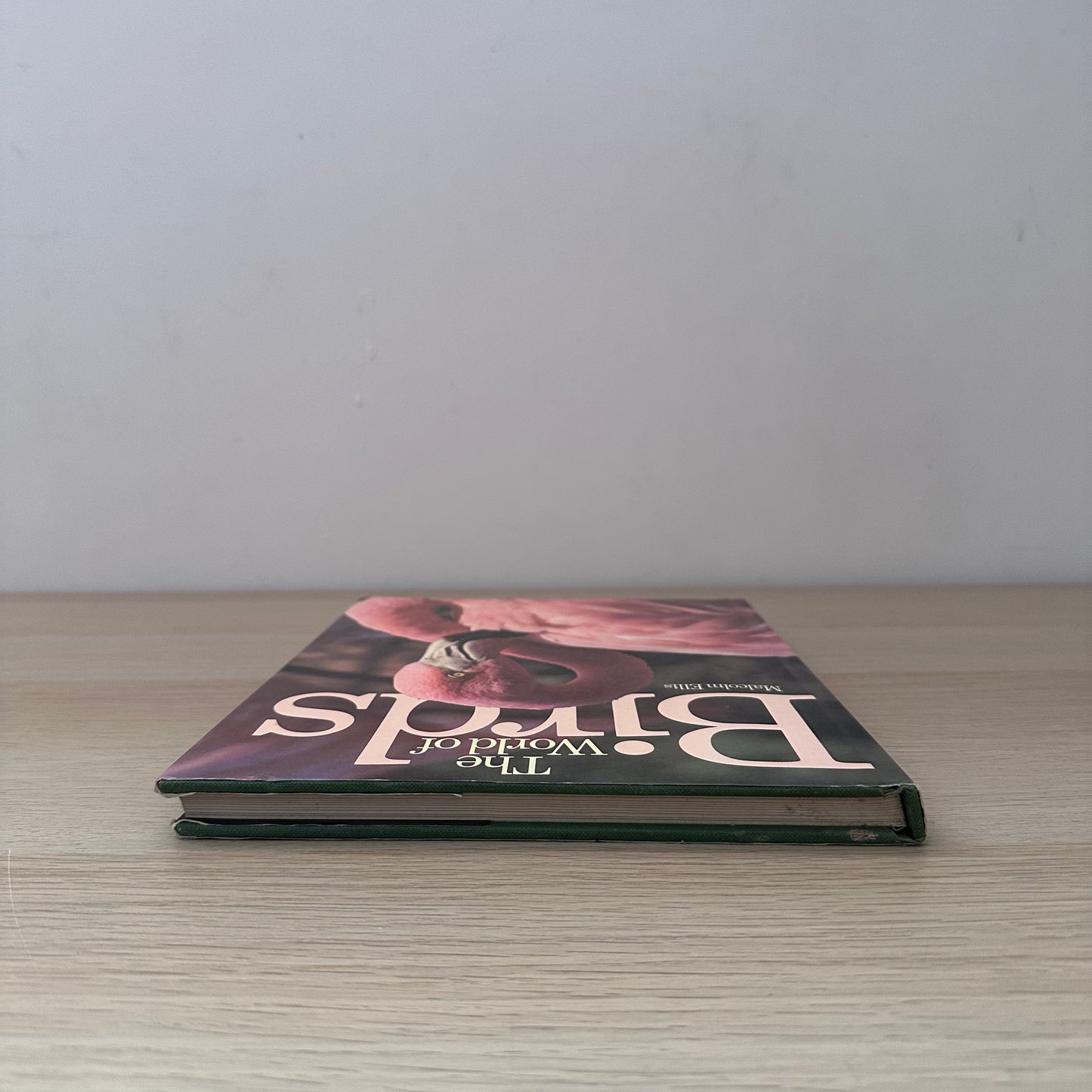 The World of Birds | 1971 | Malcolm Ellis