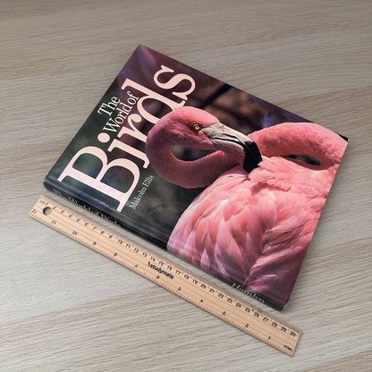 The World of Birds | 1971 | Malcolm Ellis