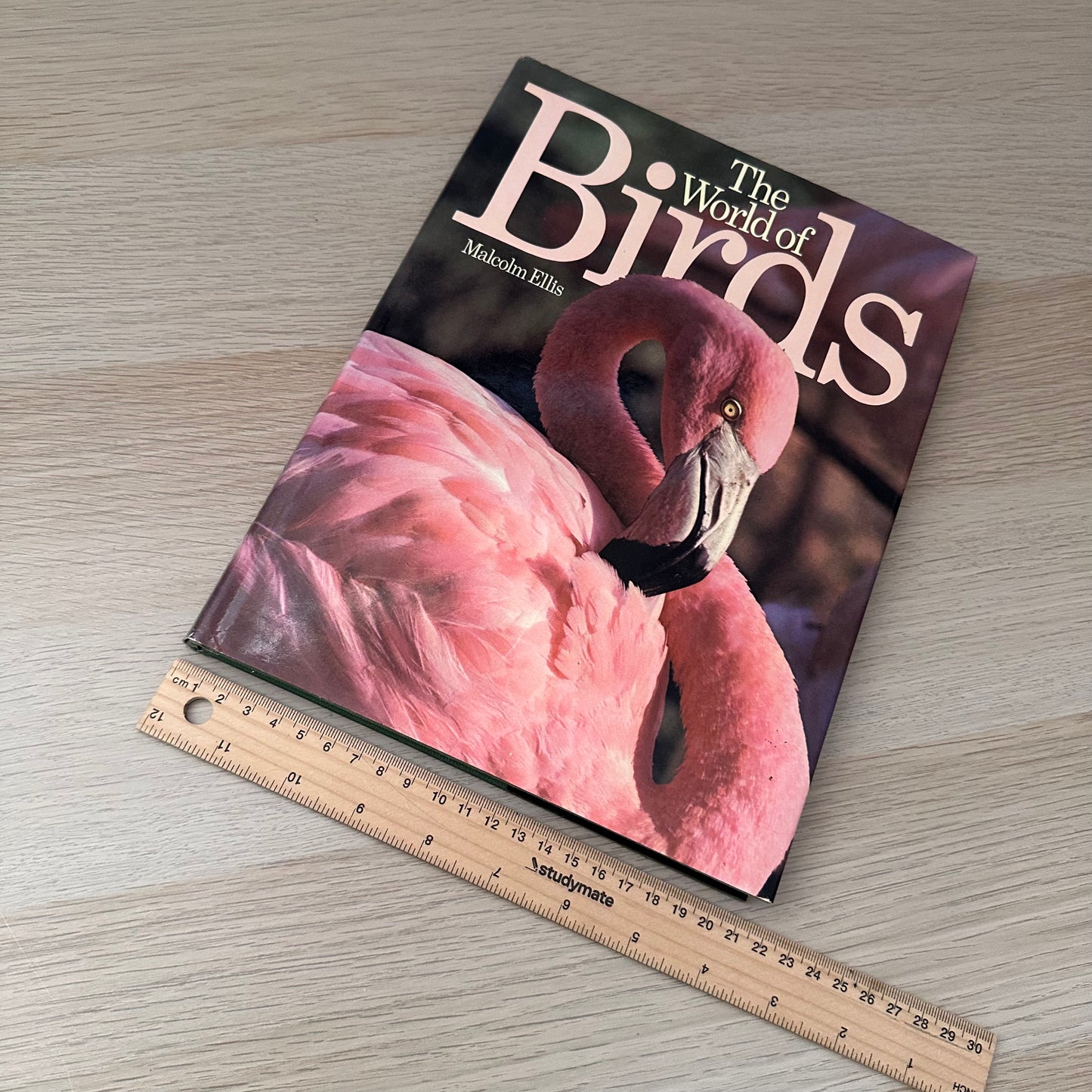 The World of Birds | 1971 | Malcolm Ellis