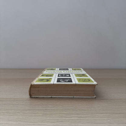 Cooking Explained | 1964 | Barbara Hammond