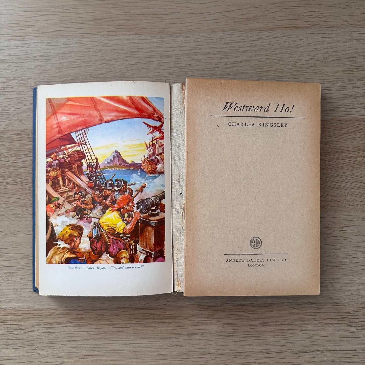 The Swiss Family Robinson | 1962 | Johann R. Wyss