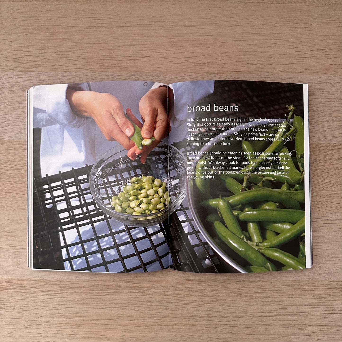 River Cafe Cookbook Green | Rose Gray & Ruth Rogers