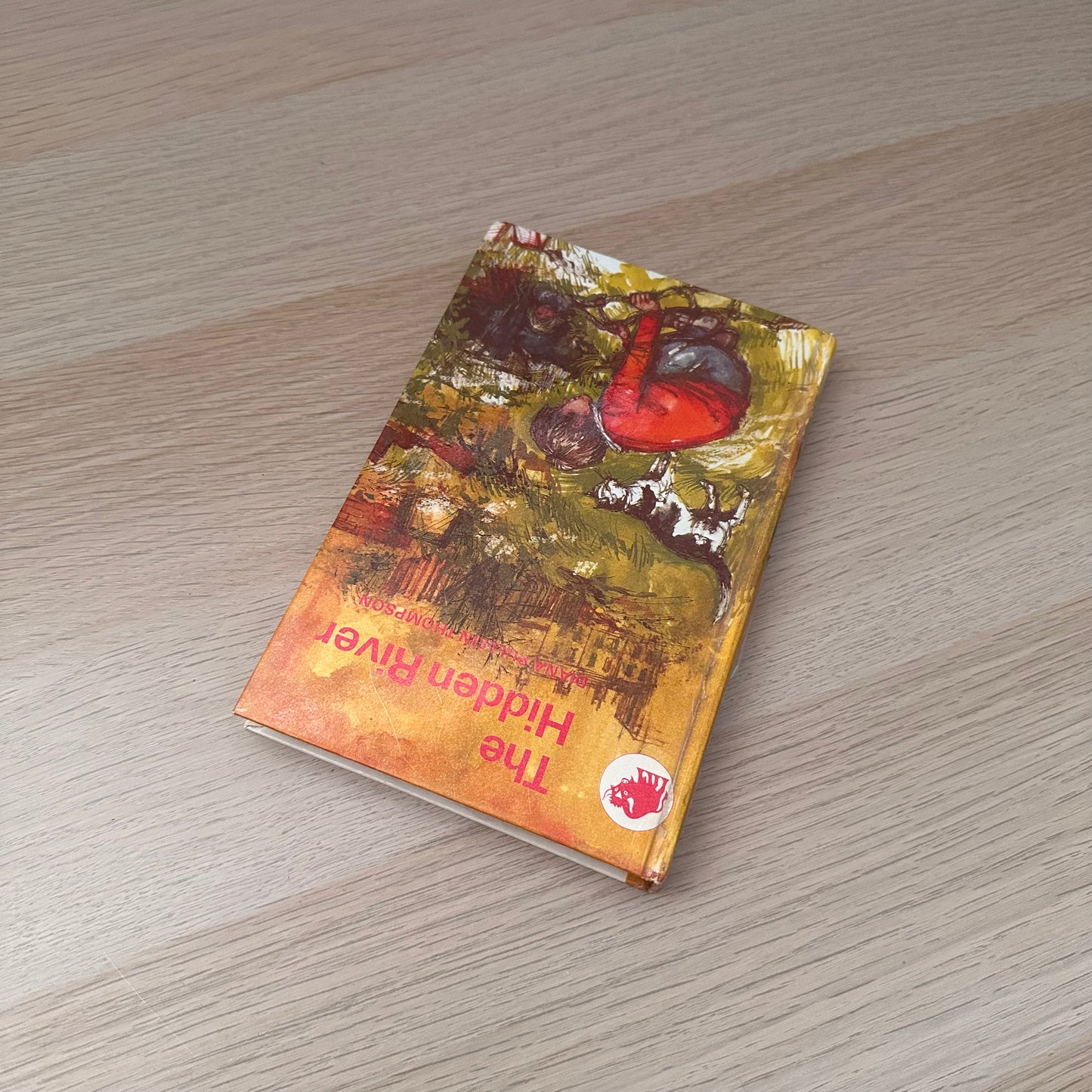 The Hidden River | 1967 | Diana Pullein-Thompson