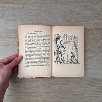 The Hidden River | 1967 | Diana Pullein-Thompson