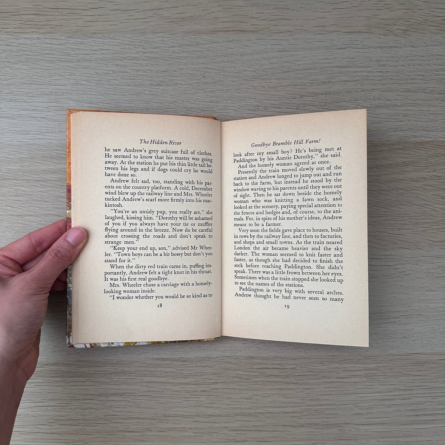 The Hidden River | 1967 | Diana Pullein-Thompson