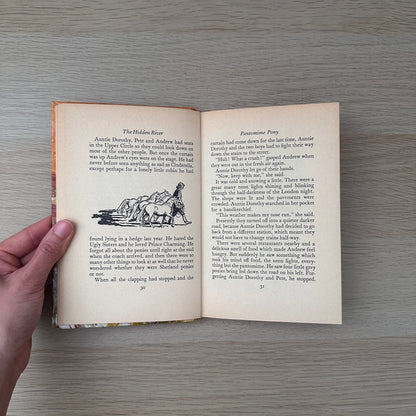 The Hidden River | 1967 | Diana Pullein-Thompson