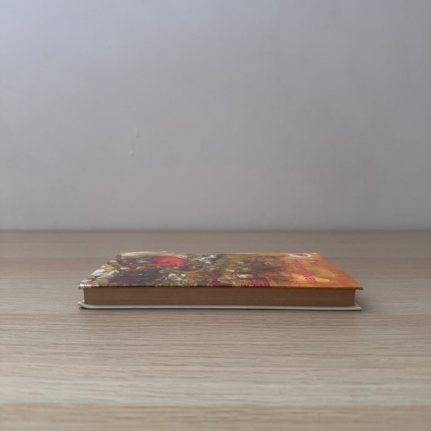 The Hidden River | 1967 | Diana Pullein-Thompson