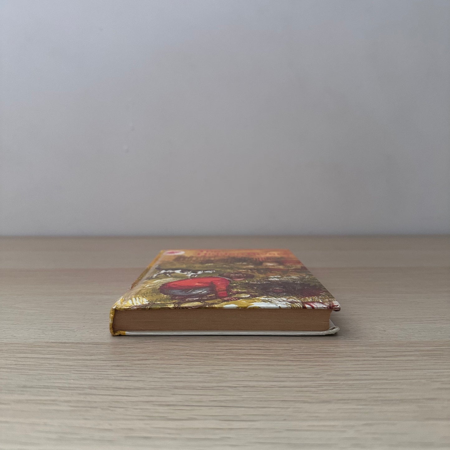 The Hidden River | 1967 | Diana Pullein-Thompson