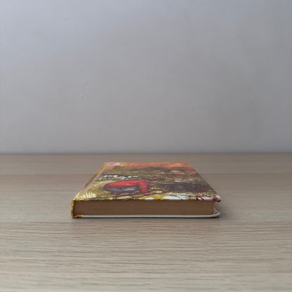 The Hidden River | 1967 | Diana Pullein-Thompson