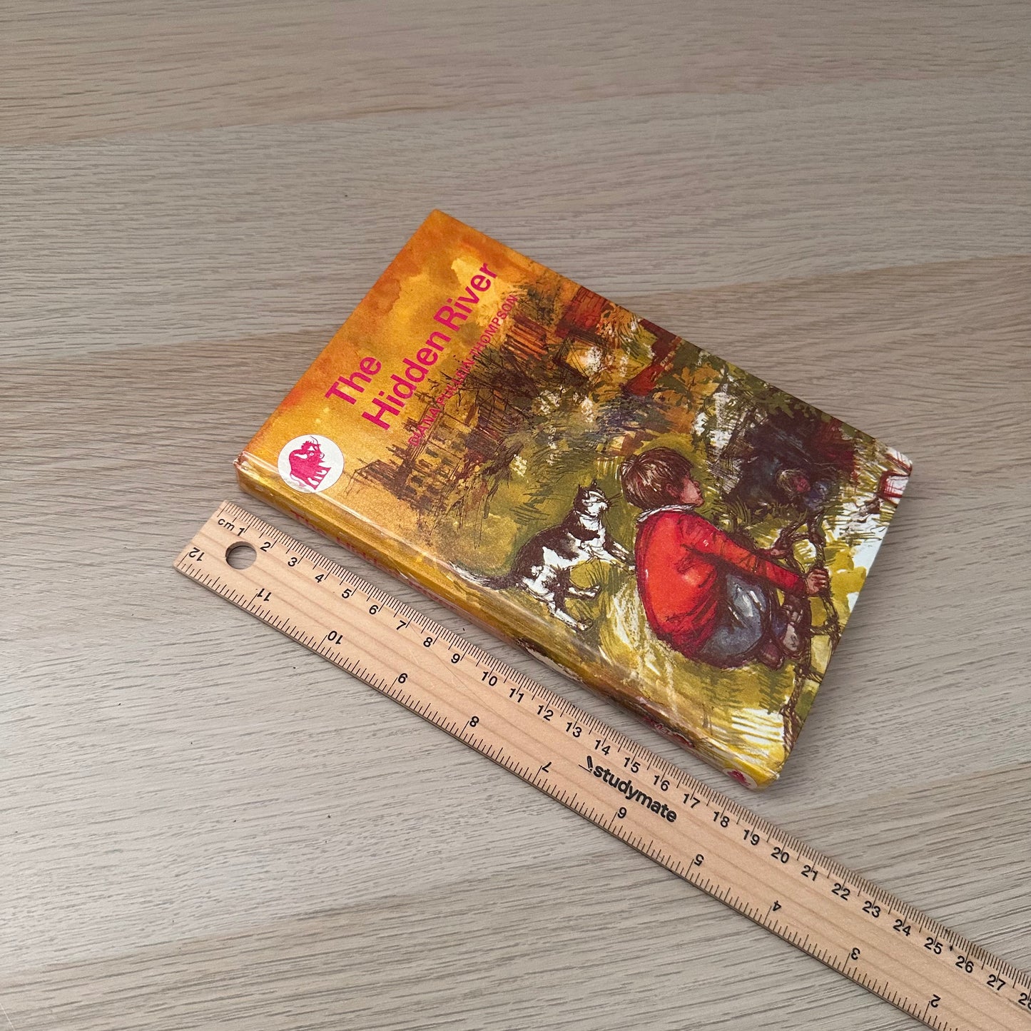 The Hidden River | 1967 | Diana Pullein-Thompson