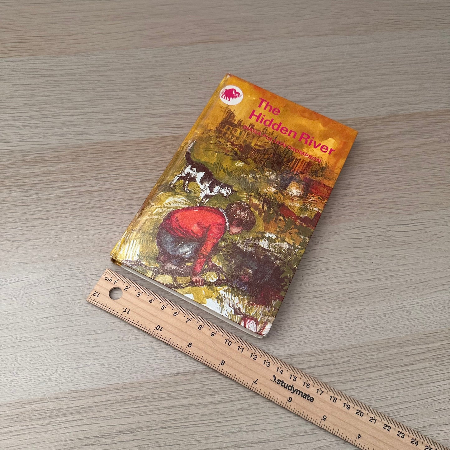 The Hidden River | 1967 | Diana Pullein-Thompson