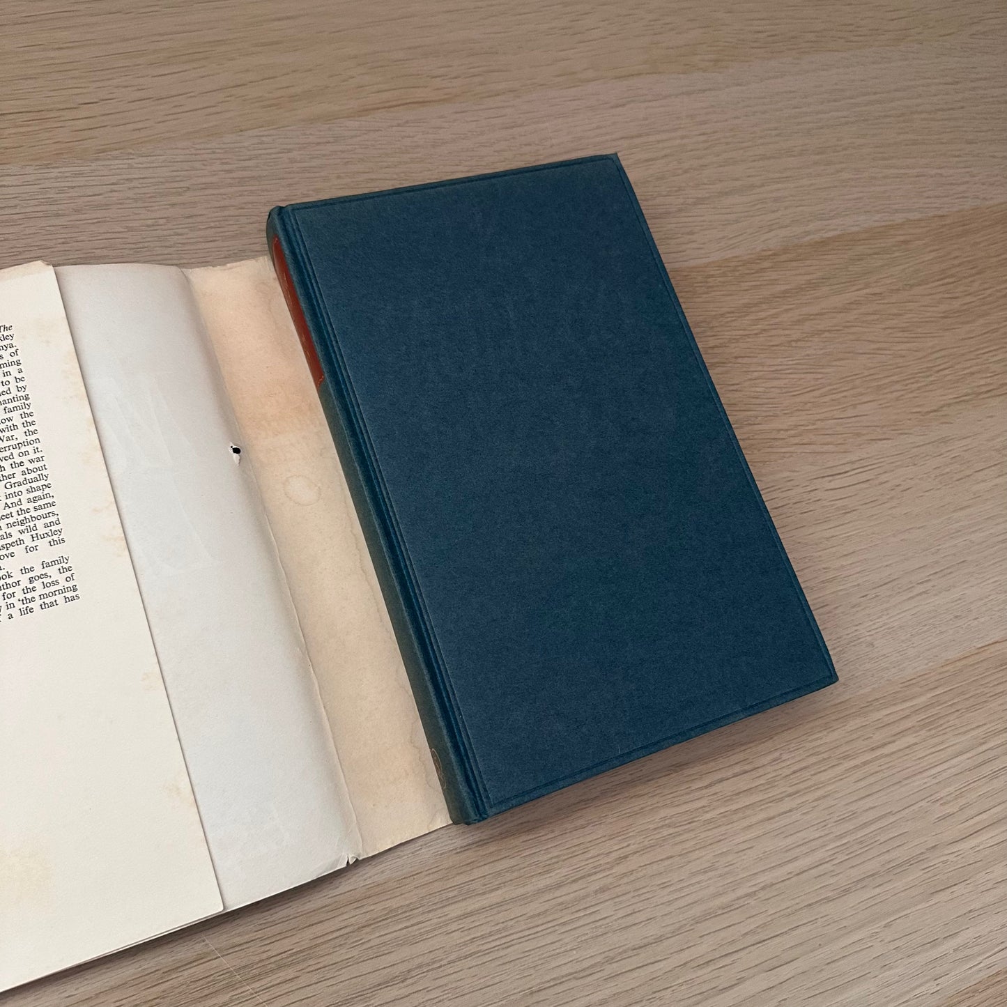 The Mottled Lizard | 1964 | Elspeth Huxley