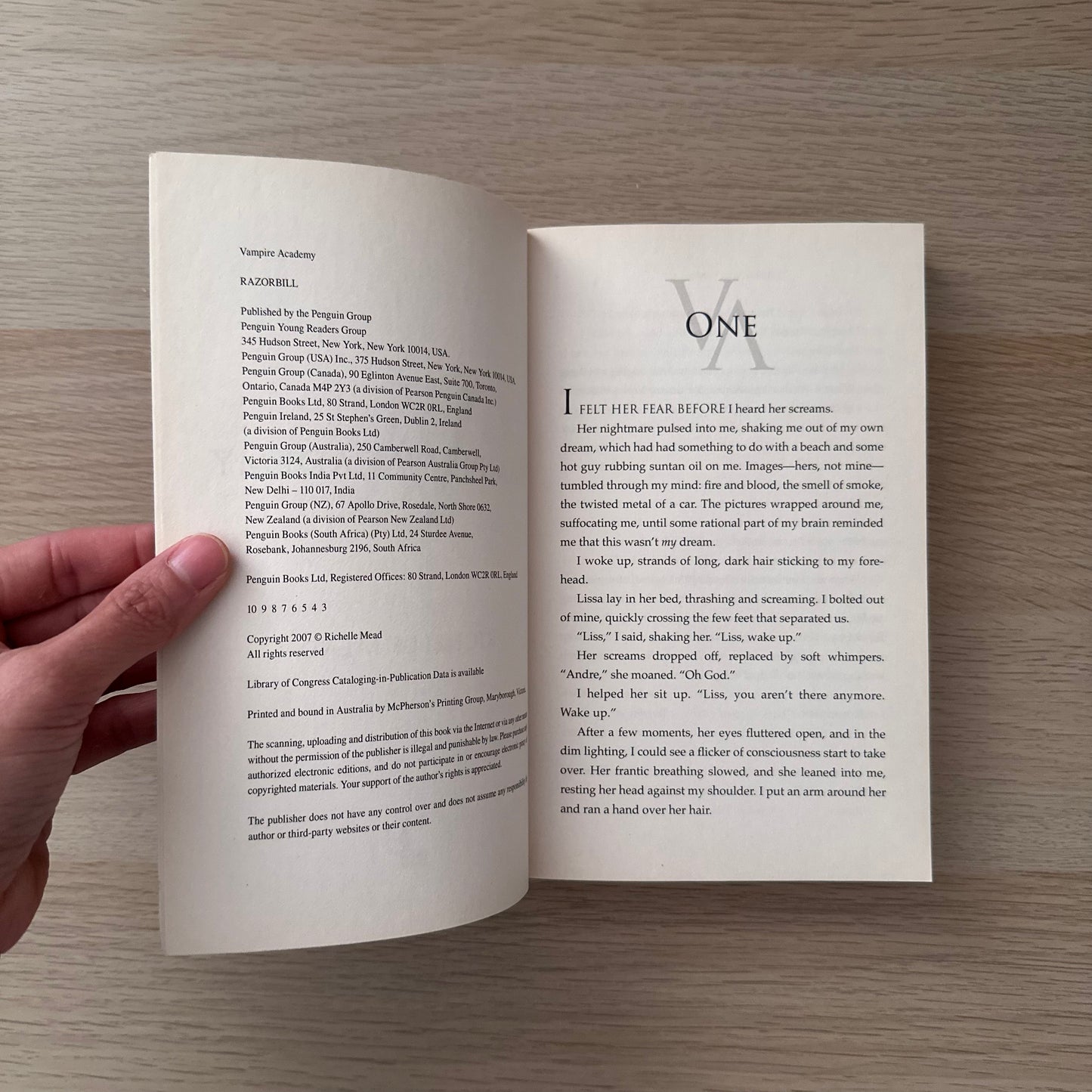 Vampire Academy | Paperback | Richelle Mead