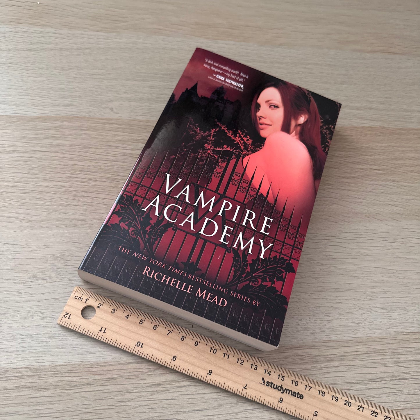 Vampire Academy | Paperback | Richelle Mead