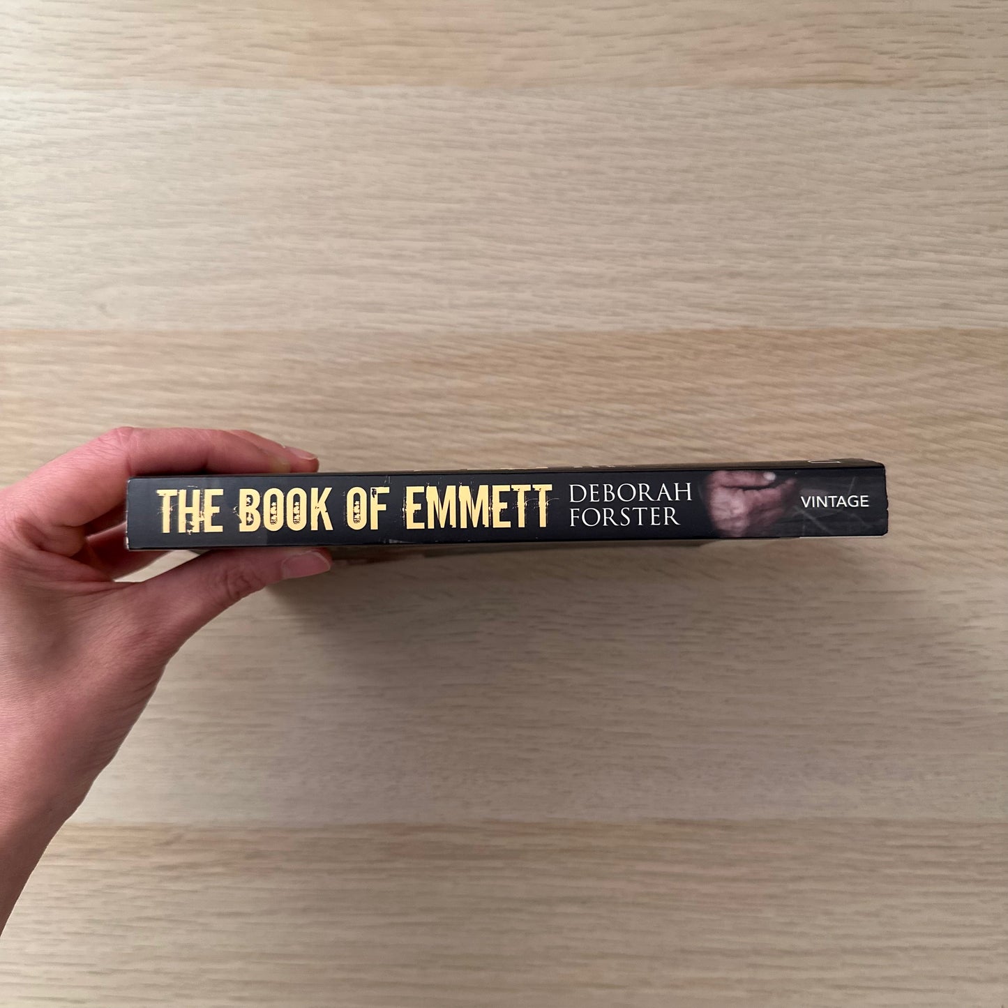 The Book of Emmett | Paperback | Deborah Forster