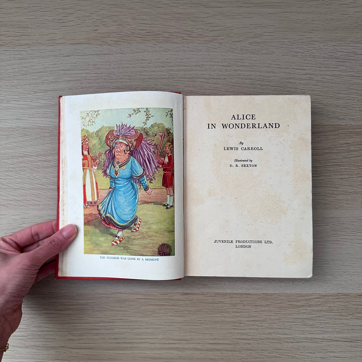 Alice and Wonderland | Illustrated by D.R. Sexton | Juvenile Productions | Lewis Caroll