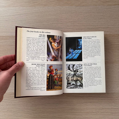 Readers Digest Condensed Book | 1993 | Hardcover | John McEvoy, Jeanne Williams, Tania Carver, James Aldridge