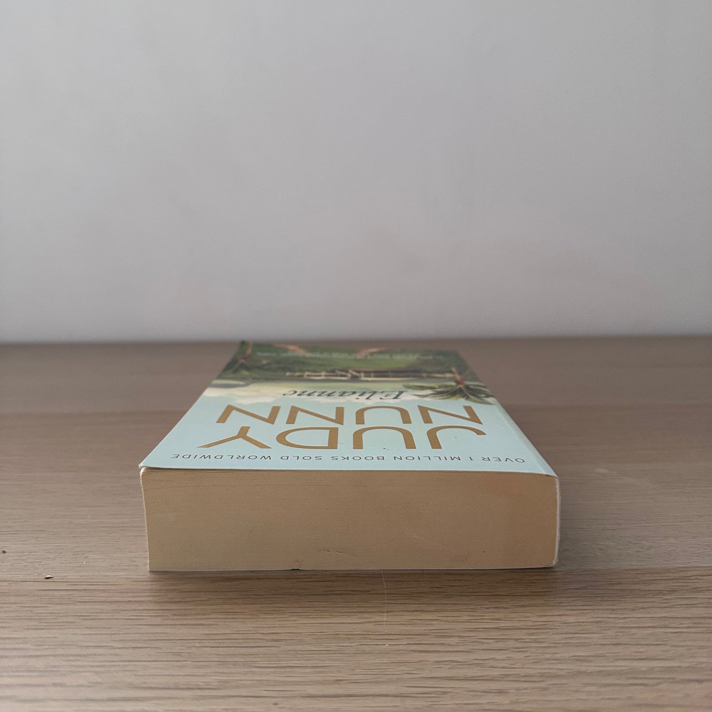 Elianne | Paperback | Judy Nunn