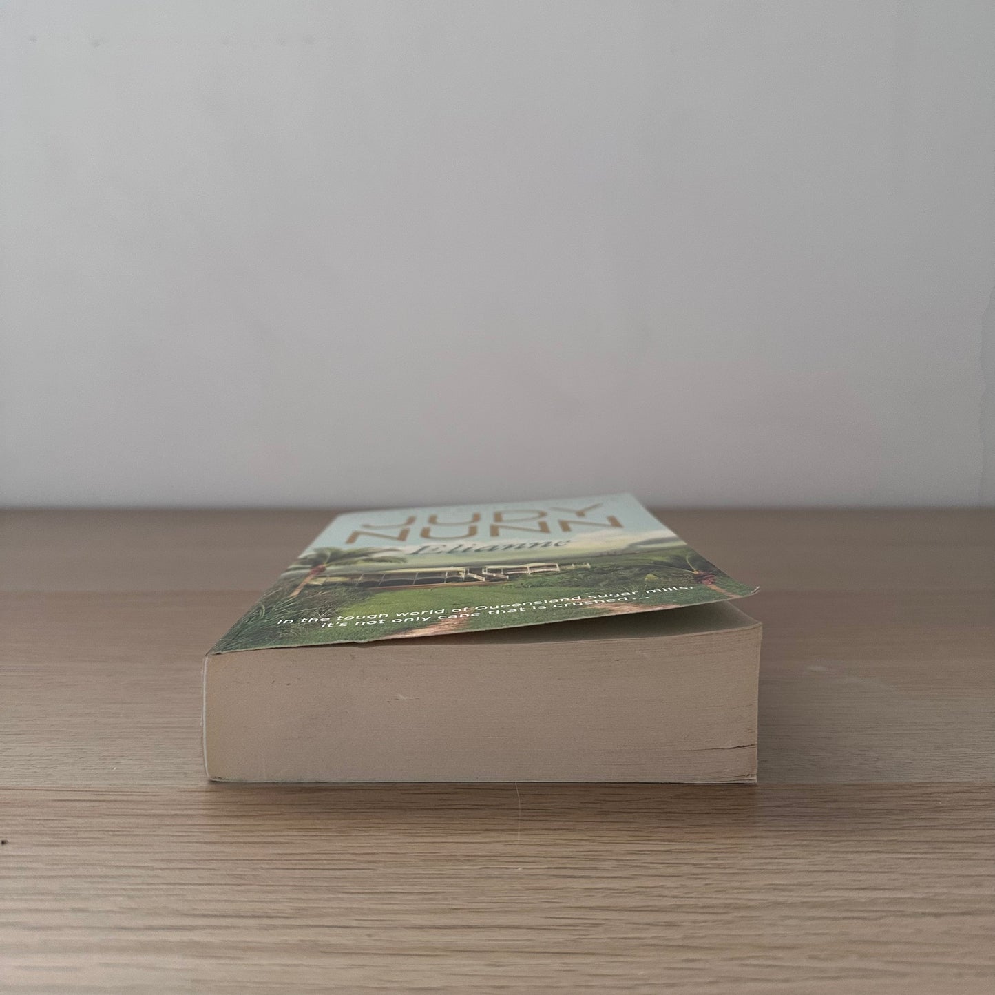 Elianne | Paperback | Judy Nunn