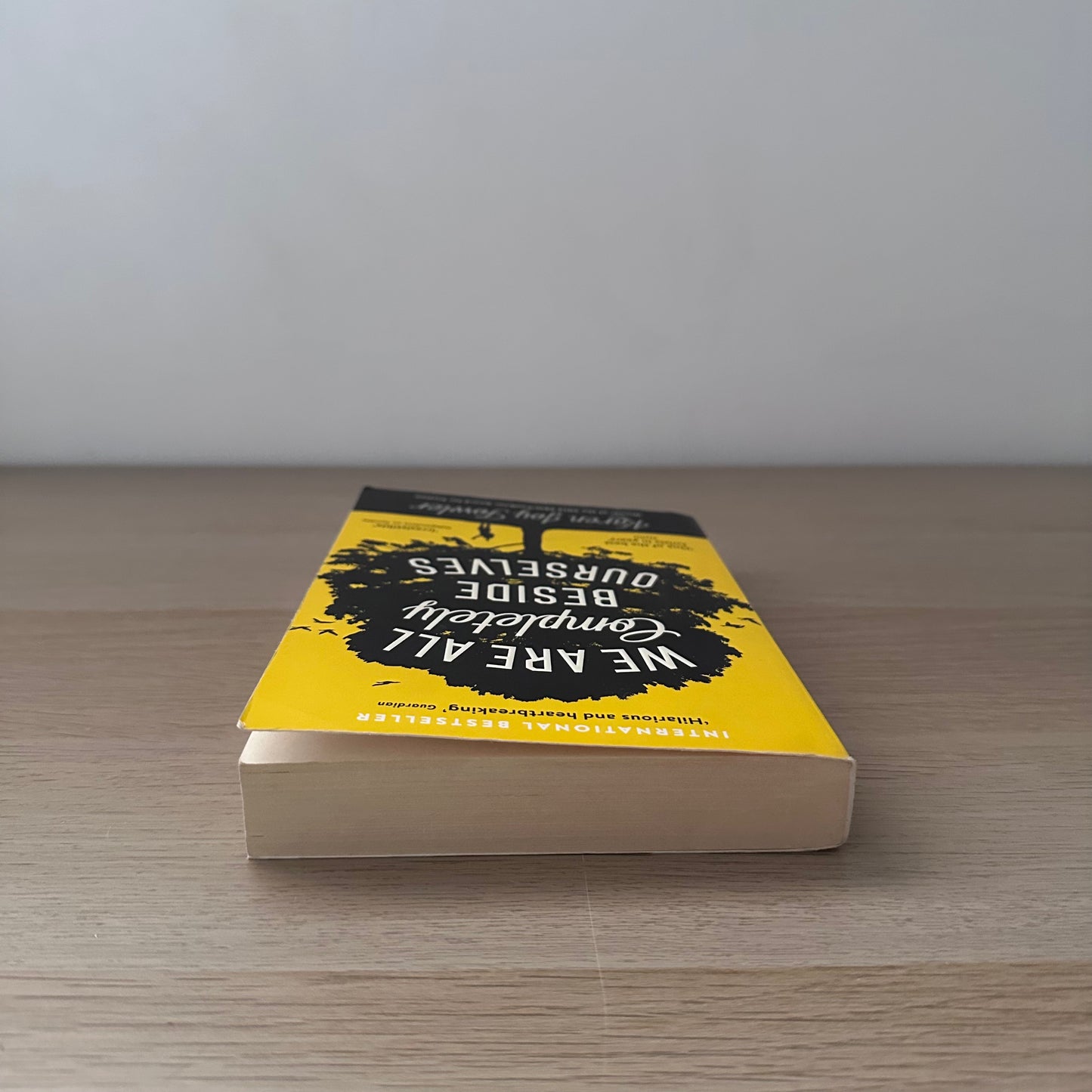 We are all completely beside ourselves | Paperback | Karen Joy Fowler