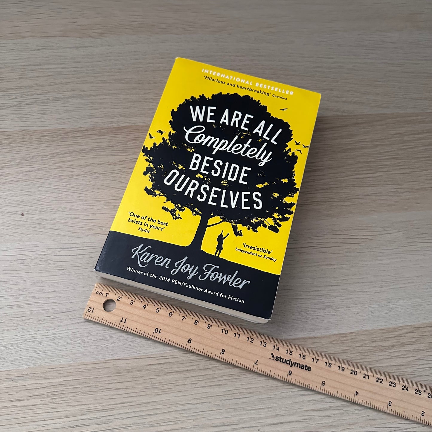 We are all completely beside ourselves | Paperback | Karen Joy Fowler