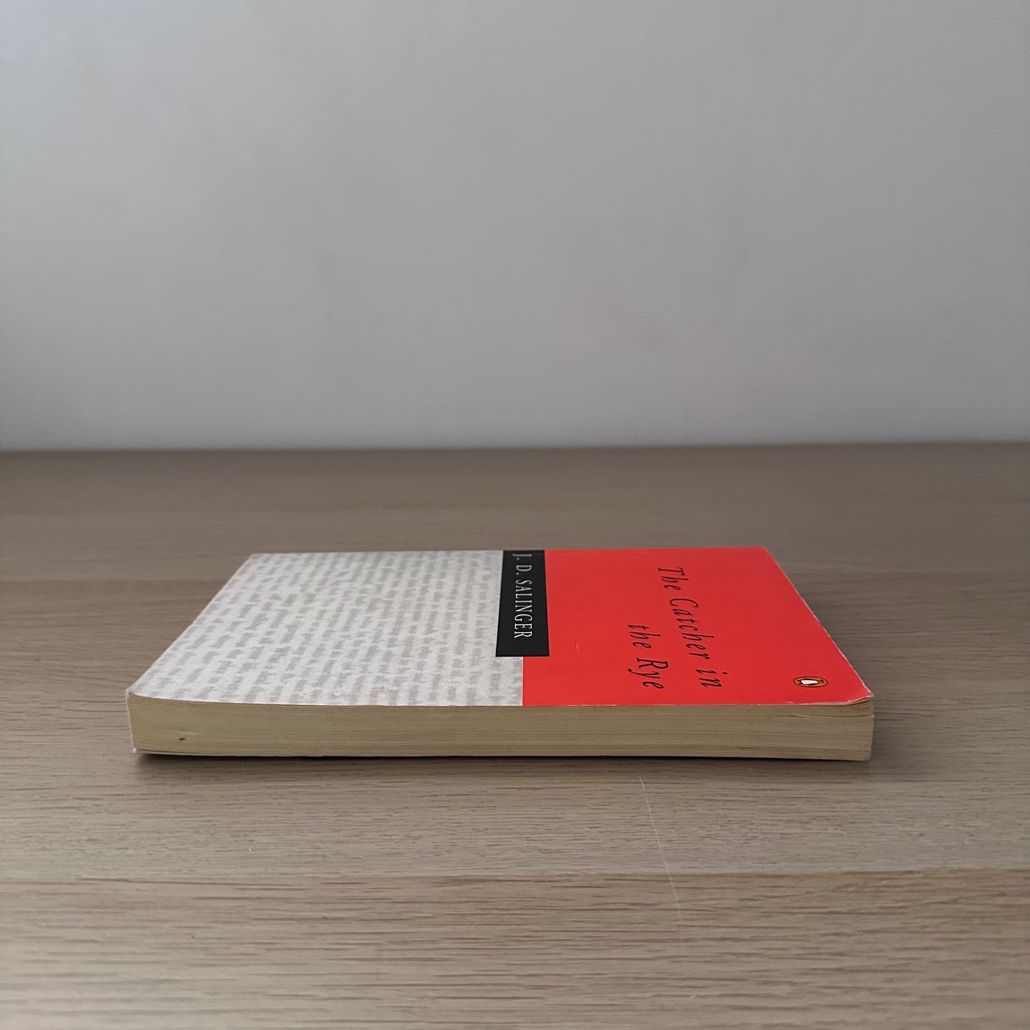 The Catcher in the Rye | Paperback | J.D. Salinger