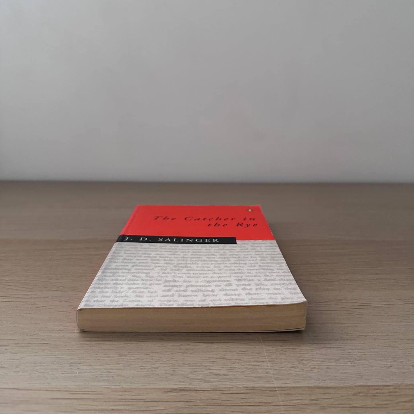 The Catcher in the Rye | Paperback | J.D. Salinger