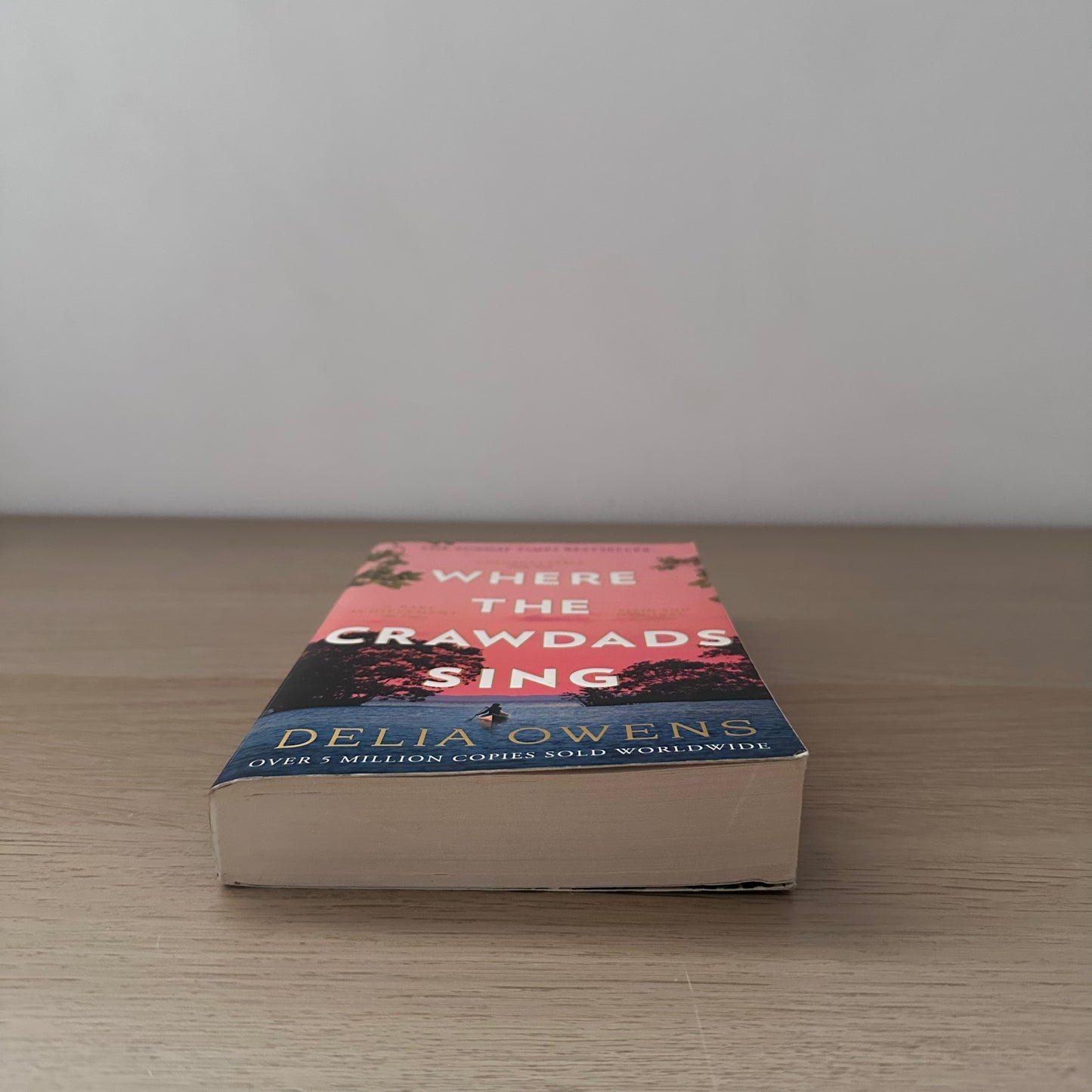 Where the Crawdad Sing | Paperback | Delia Owens