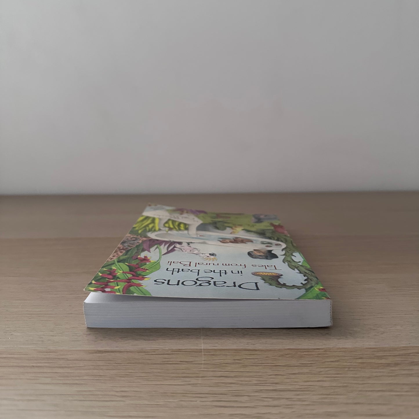 Dragons in the Bath : Tales from rural Bali | Paperback | Cat Wheeler