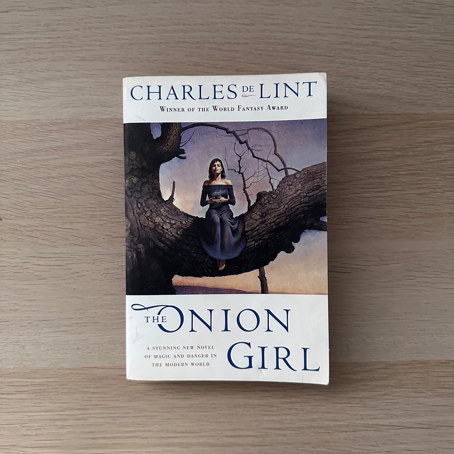 The Onion Girl | Paperback | Charles De Lint