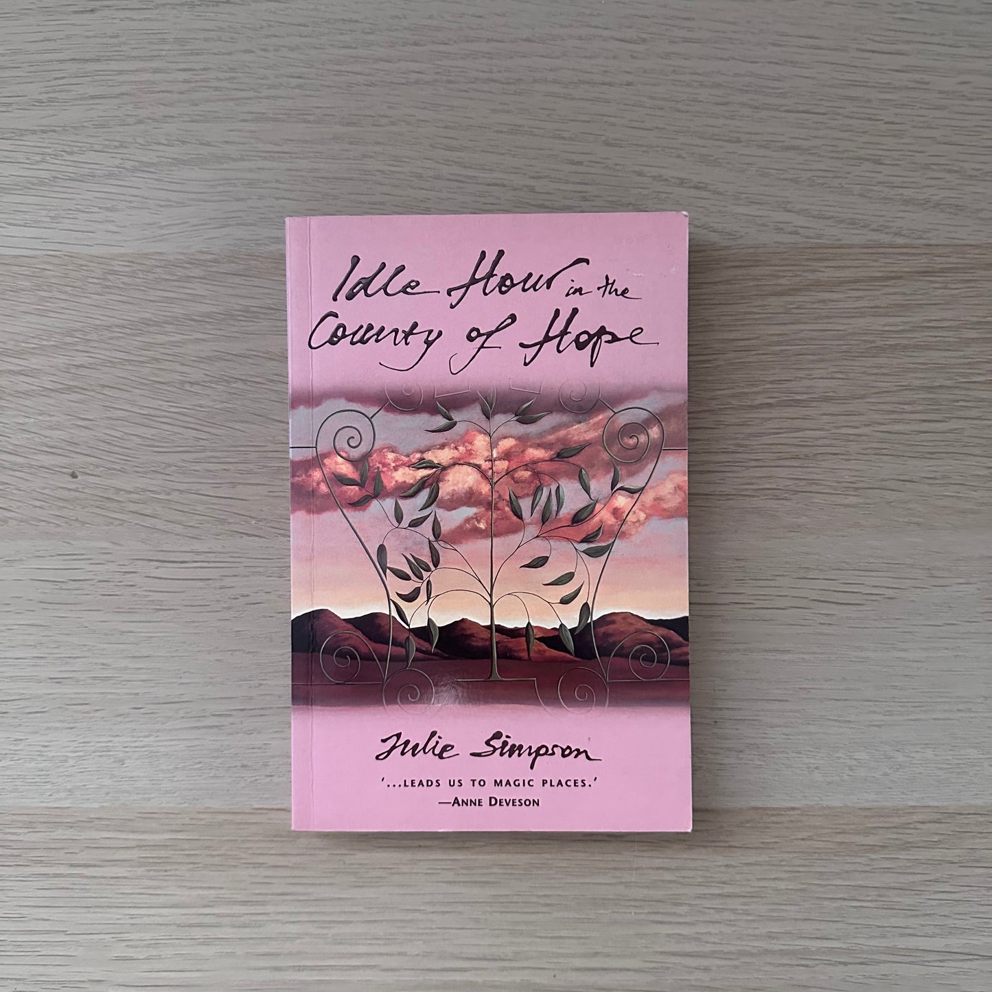 Idle Hour in the Country of Hope | Paperback | Julie Simpson