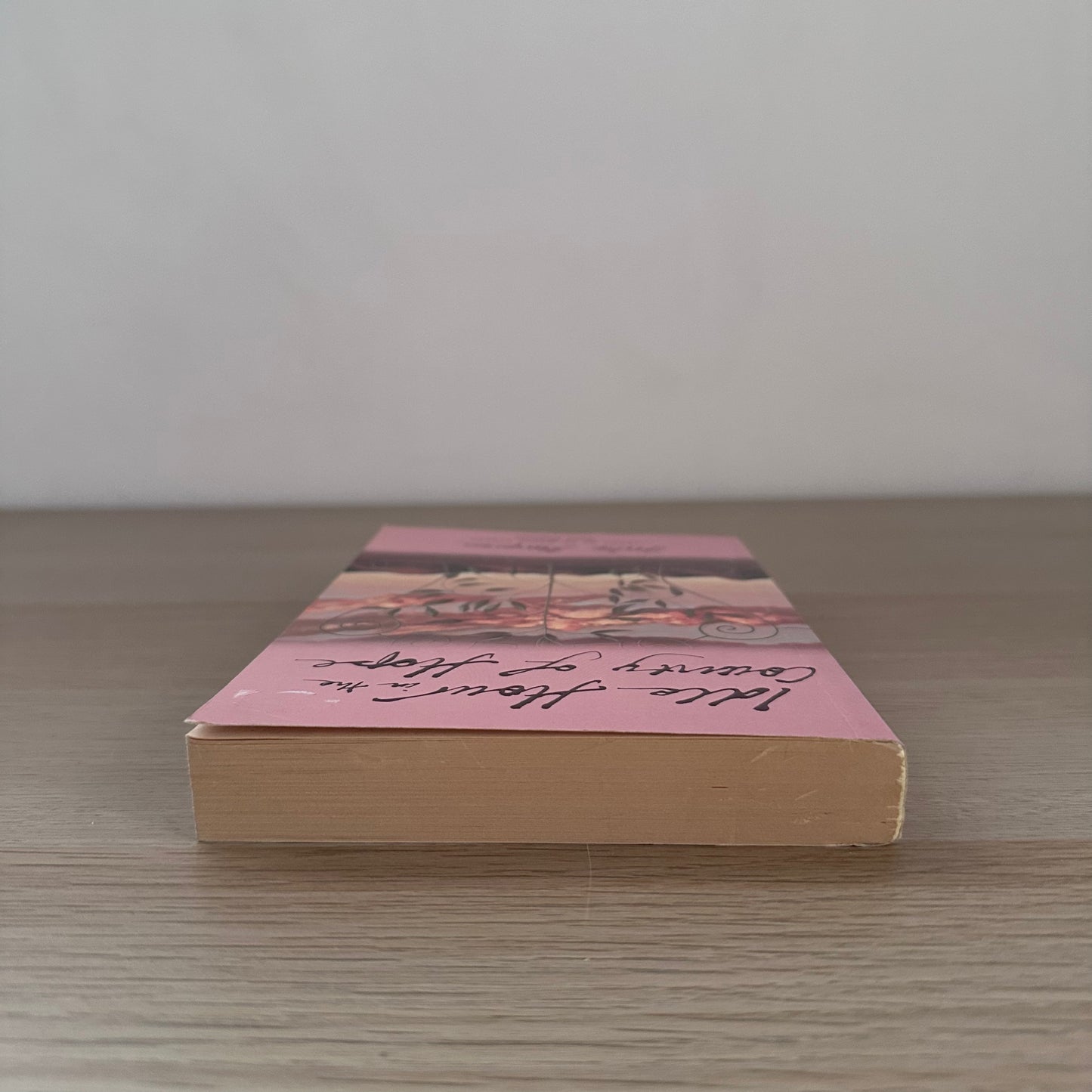 Idle Hour in the Country of Hope | Paperback | Julie Simpson