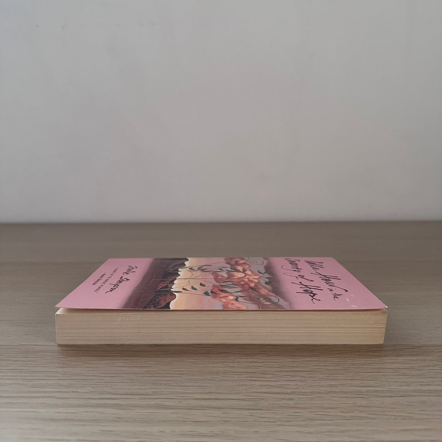 Idle Hour in the Country of Hope | Paperback | Julie Simpson