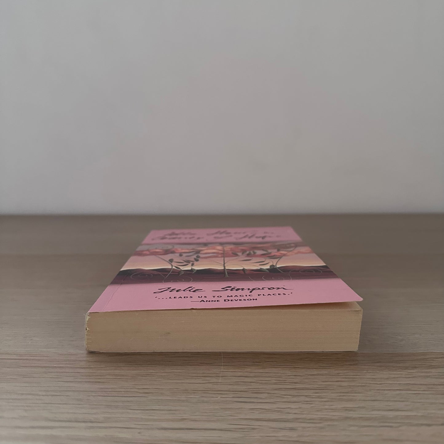 Idle Hour in the Country of Hope | Paperback | Julie Simpson