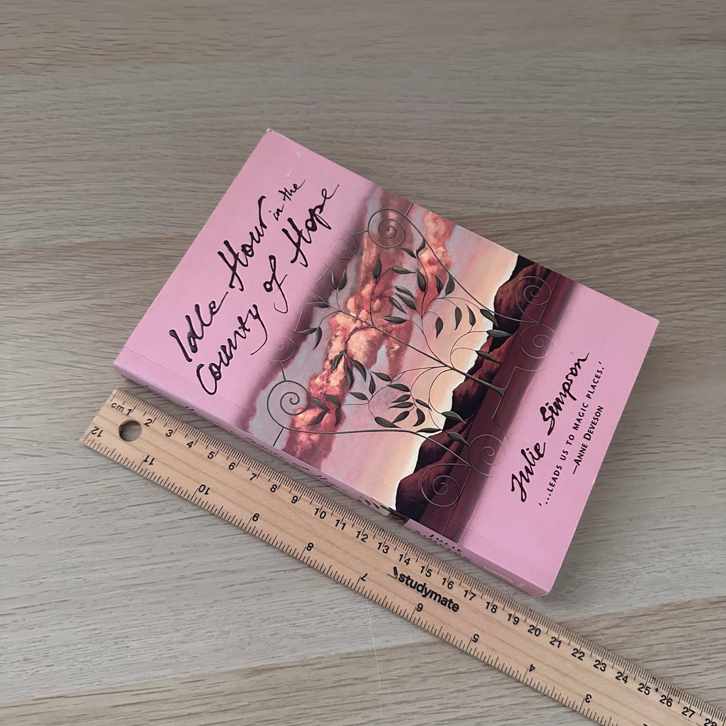 Idle Hour in the Country of Hope | Paperback | Julie Simpson