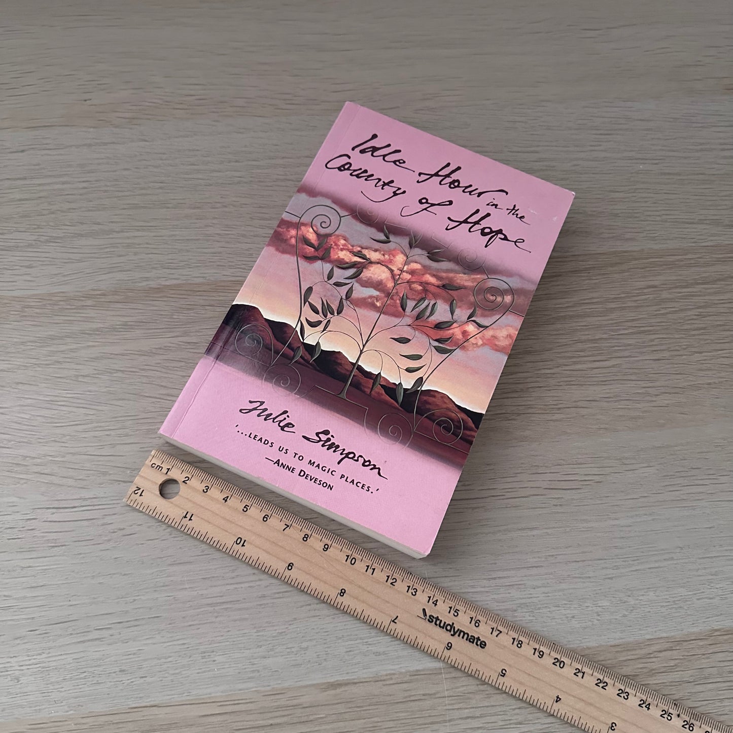 Idle Hour in the Country of Hope | Paperback | Julie Simpson