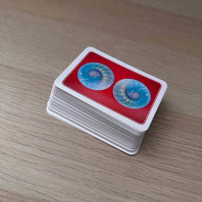 Wisdom of the Oracle Pocket | Colette Baron-Reid | Pocket Sized