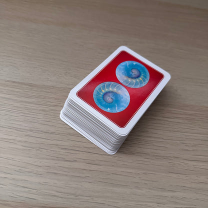 Wisdom of the Oracle Pocket | Colette Baron-Reid | Pocket Sized