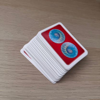 Wisdom of the Oracle Pocket | Colette Baron-Reid | Pocket Sized