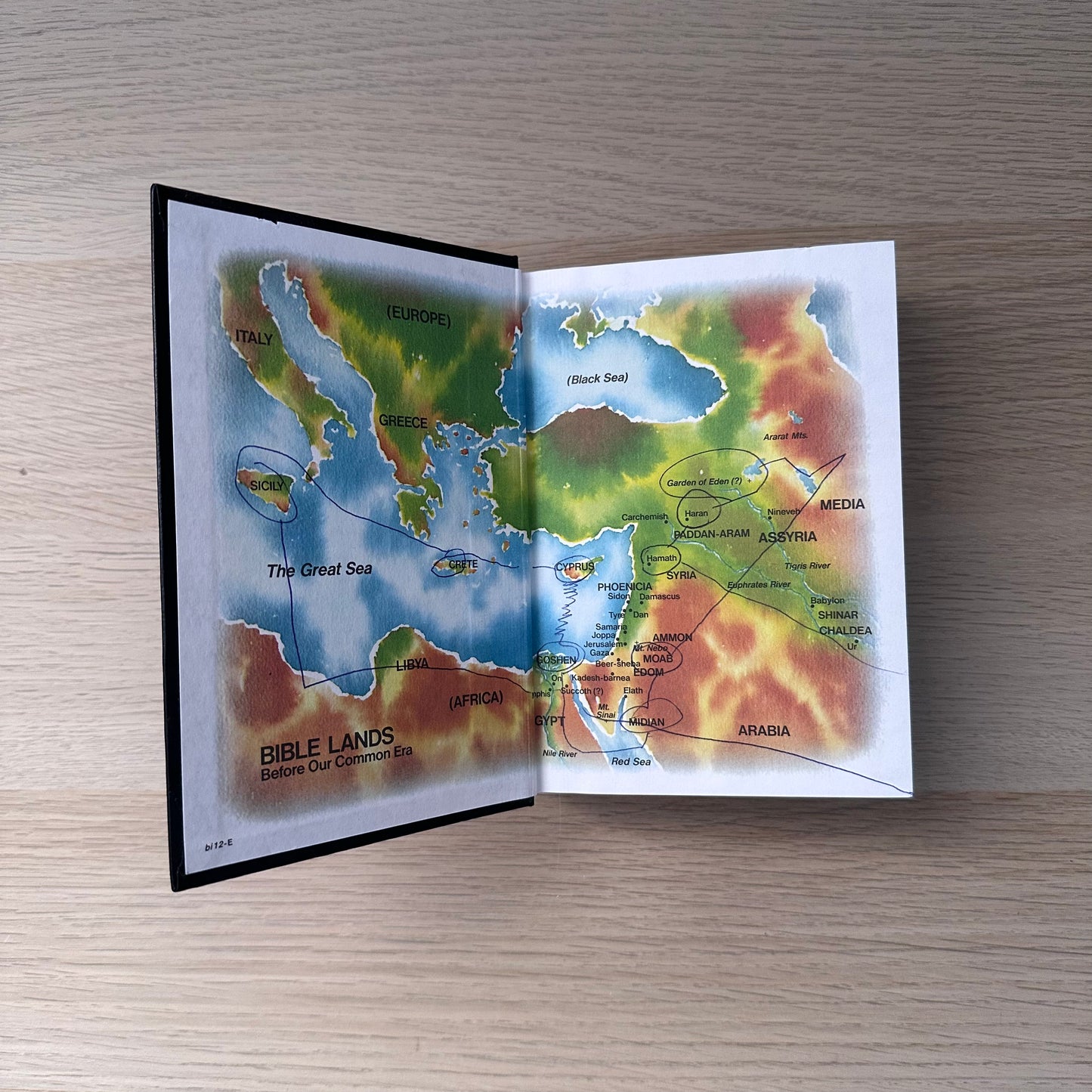 New World Translation of the Holy Scriptures | 1984