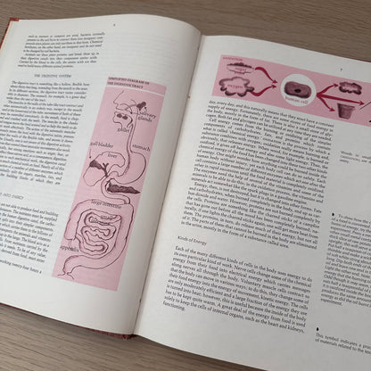 The Right Combination | A Guide to Food and Nutrition | 1975 | Elizabeth Chant Robertson