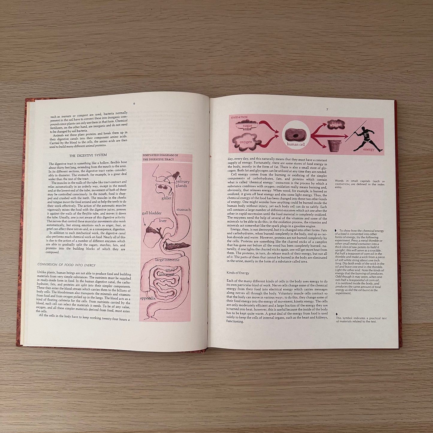 The Right Combination | A Guide to Food and Nutrition | 1975 | Elizabeth Chant Robertson