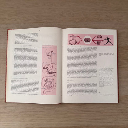 The Right Combination | A Guide to Food and Nutrition | 1975 | Elizabeth Chant Robertson