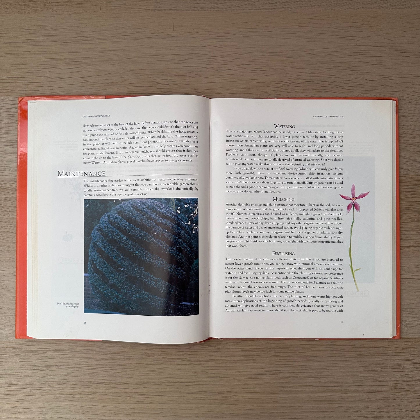 Gardening on the Wild Side | 1995 | Angus Stewart