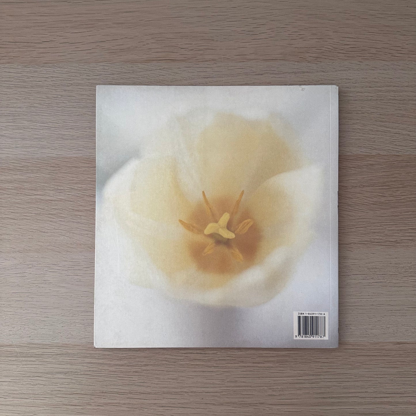 Sensual Living | Claire Llyod