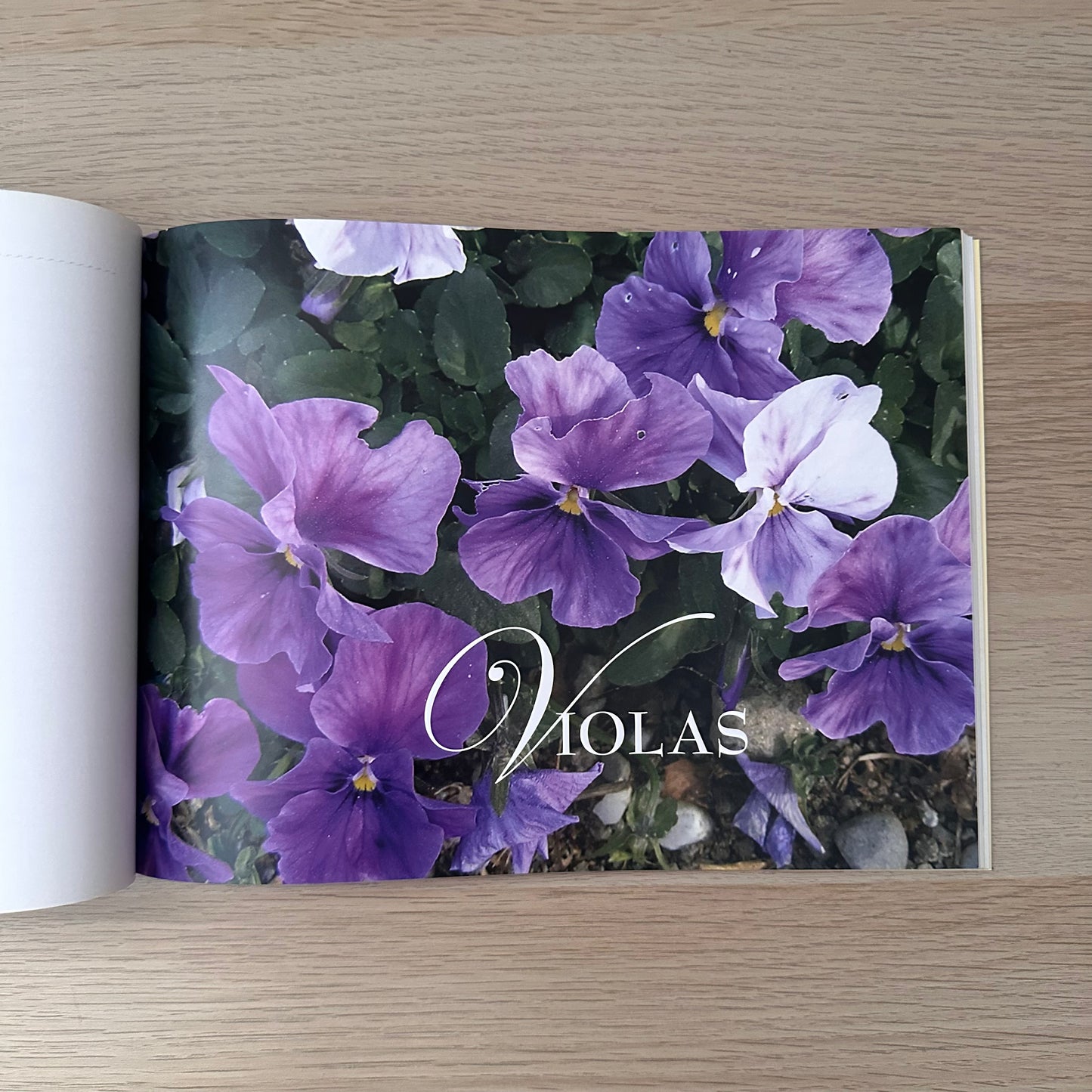 Floral Interpretations for Silk Ribbon | 2007 | Helen Dafter | Signed Copy