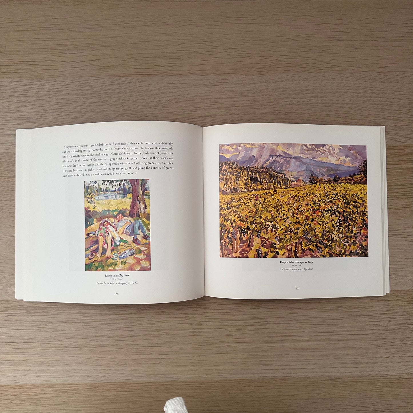 Olives, Lavender & Vineyards | 2002 | Mary Martin & Virginia Spiers | Signed Copy