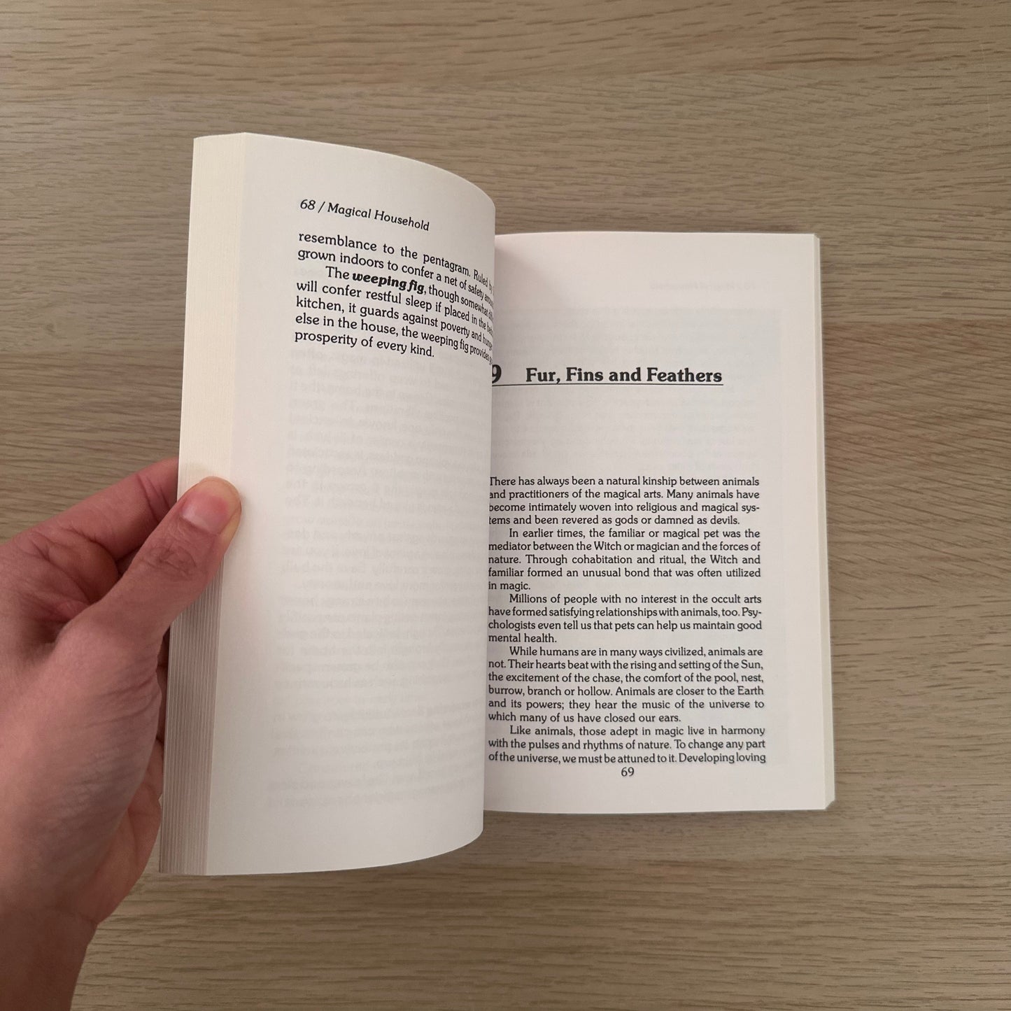 The Magical Household | Scott Cunningham & David Harrington